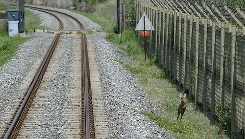 Picture CC via Korea.net 14245207481_a1b6c3cd9d